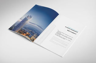 武漢之心，時(shí)代之窗——武漢中心宣傳畫冊設(shè)計(jì)理念與呈現(xiàn)